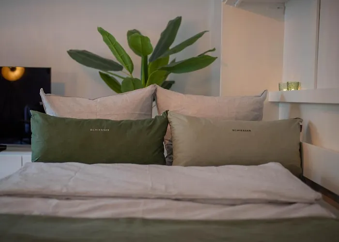 Zentral Smart * اتسوكو